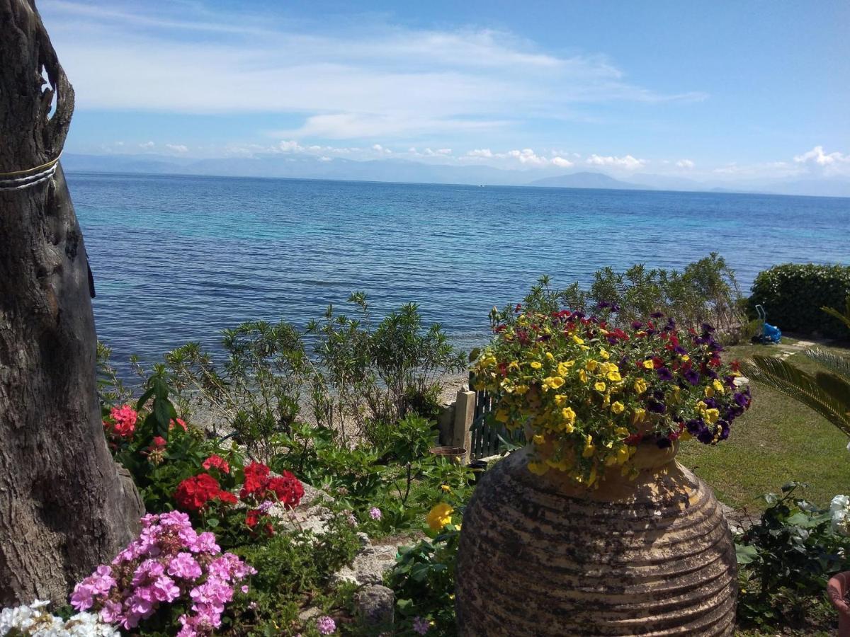 Studio Nausica... A Sense Of Paradise! Agia Pelagia Chlomou Exterior foto