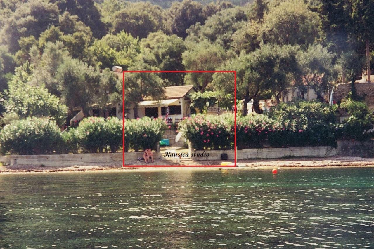 Studio Nausica... A Sense Of Paradise! Agia Pelagia Chlomou Exterior foto
