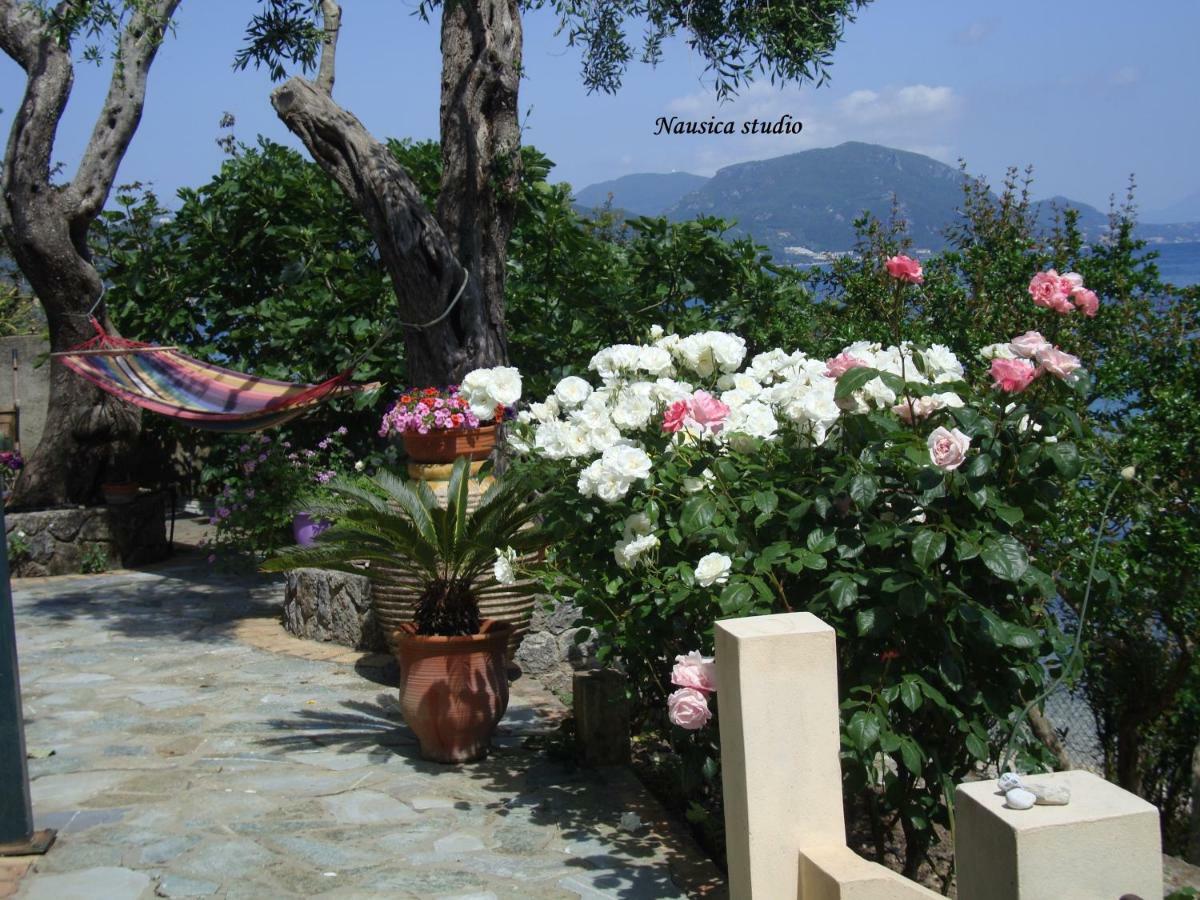 Studio Nausica... A Sense Of Paradise! Agia Pelagia Chlomou Exterior foto
