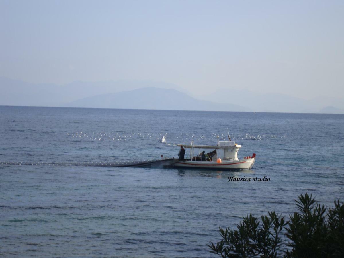 Studio Nausica... A Sense Of Paradise! Agia Pelagia Chlomou Exterior foto