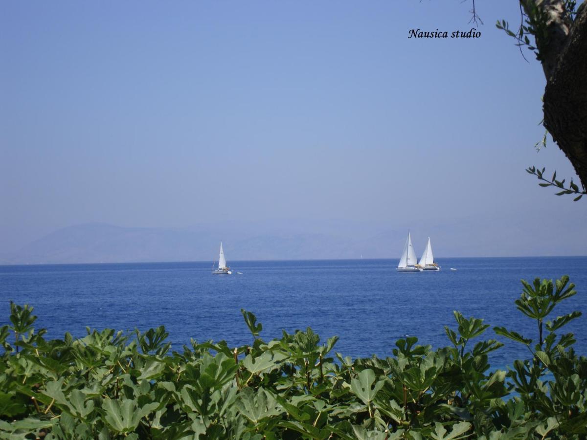 Studio Nausica... A Sense Of Paradise! Agia Pelagia Chlomou Exterior foto